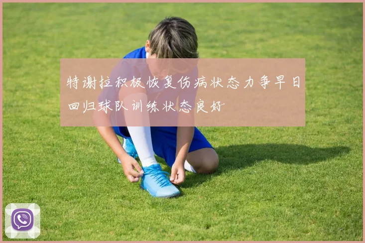 特谢拉积极恢复伤病状态力争早日回归球队训练状态良好